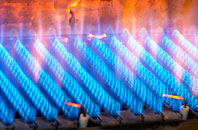 Pledwick gas fired boilers